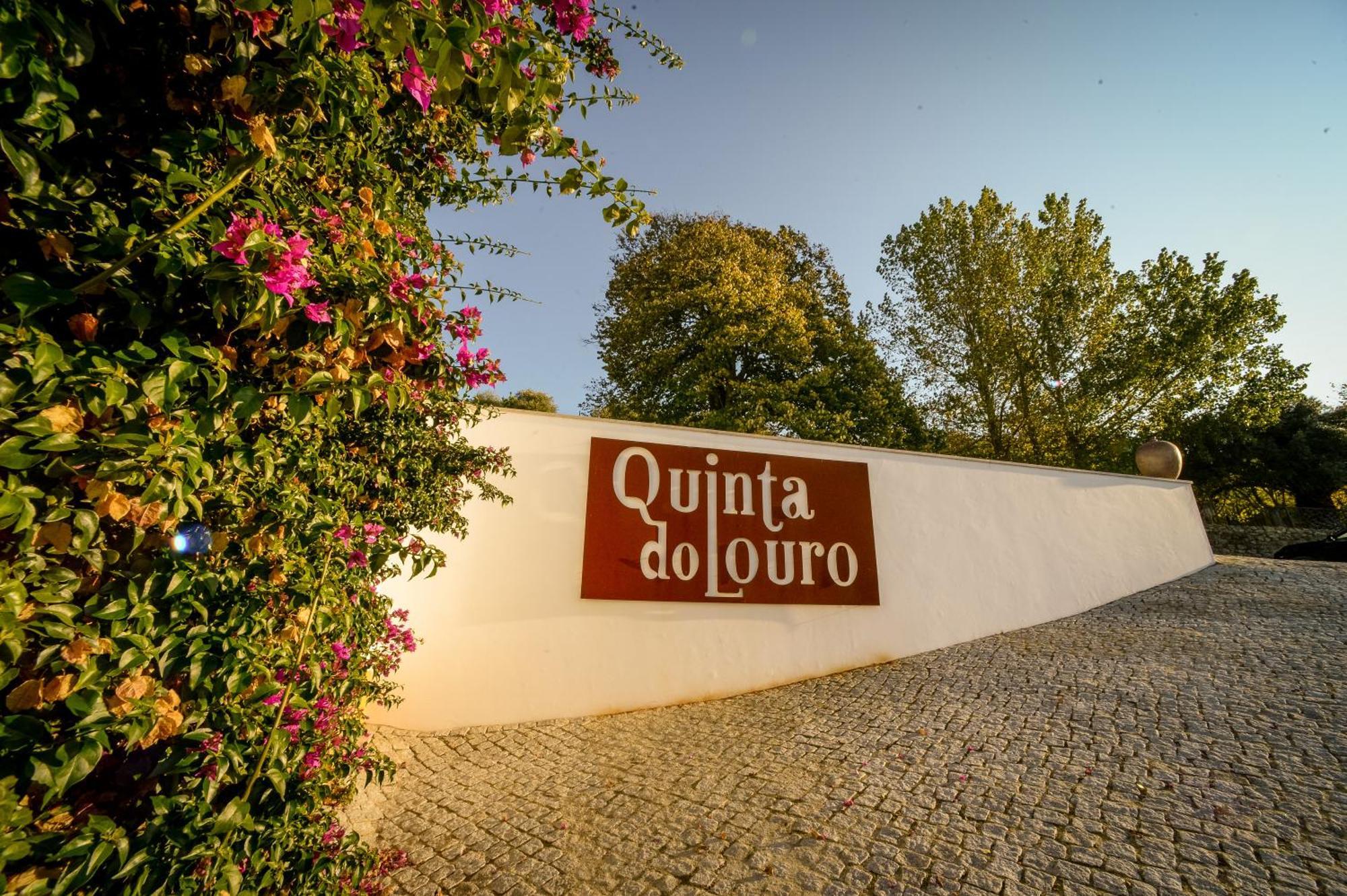 Quinta Do Louro Pensionat Palmela Exteriör bild