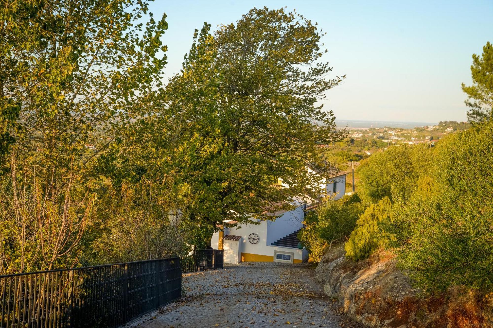 Quinta Do Louro Pensionat Palmela Exteriör bild